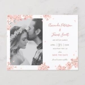 save the date photo postcard with pink Japanese sakura cherry blossoms